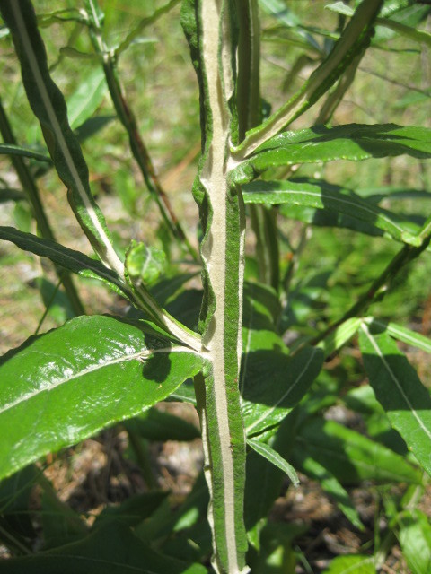 Figure 153b.