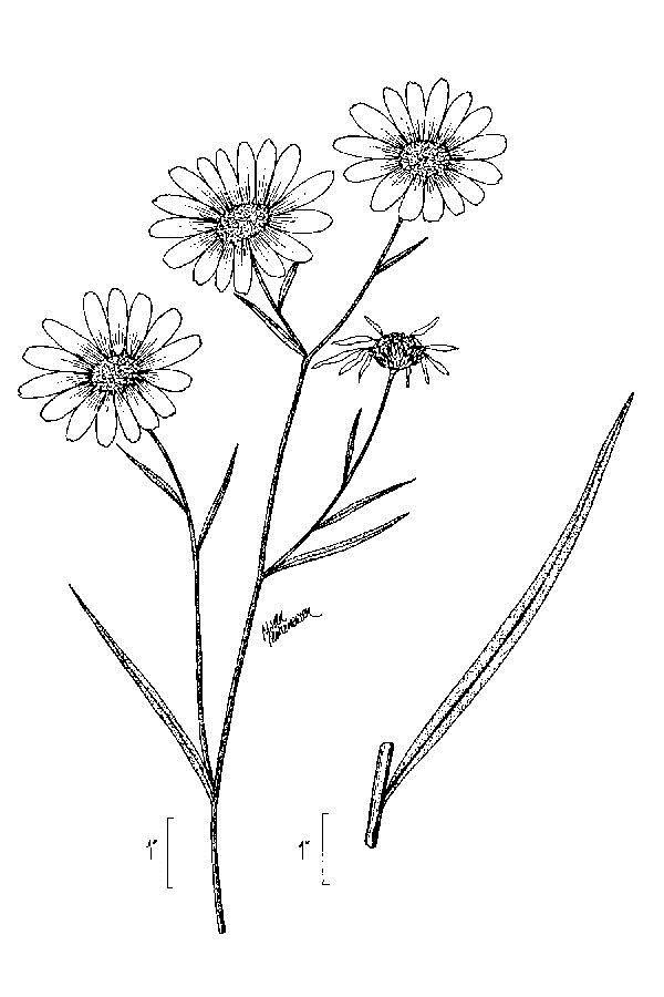 Figure 174a.