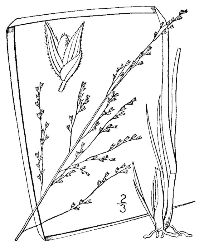 Figure 83b.