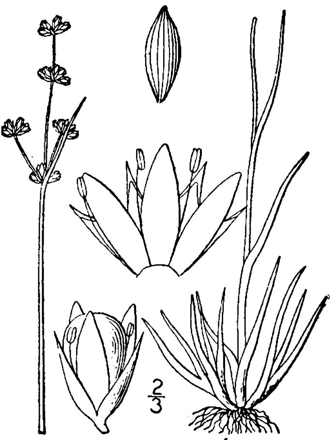 Figure 54c.