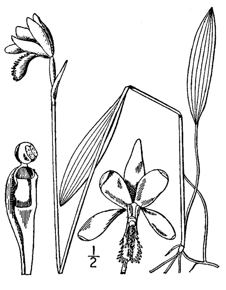 Figure 61.