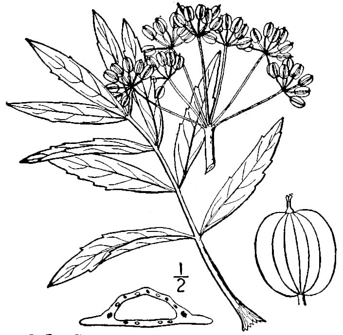 Figure 144a.