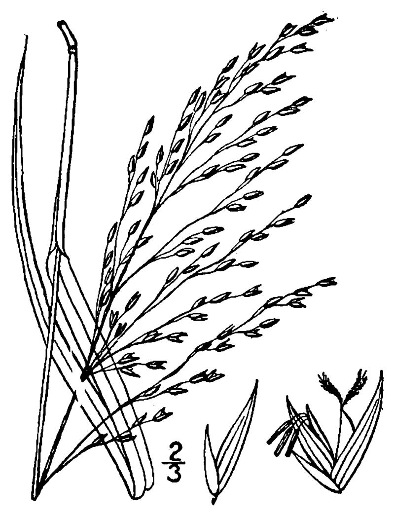 Figure 89d.