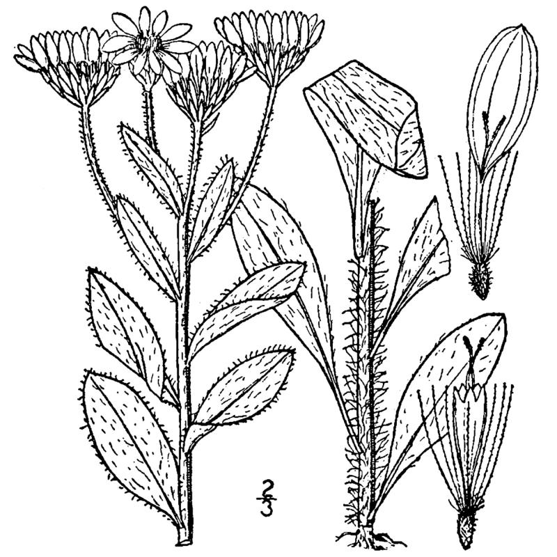 Figure 161.