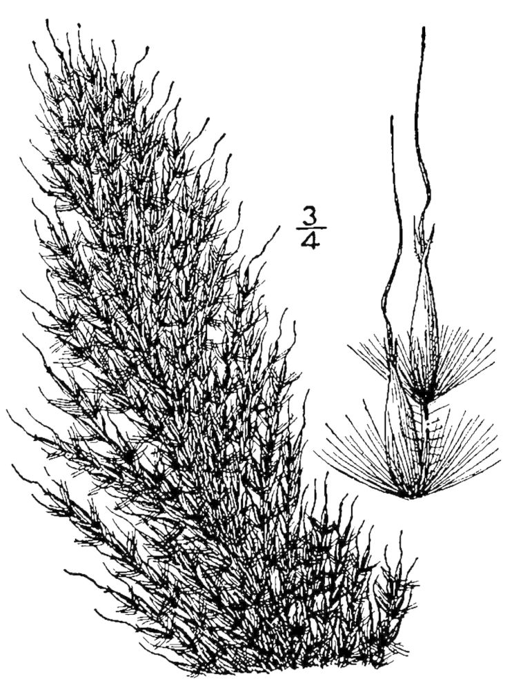 Figure 91b.