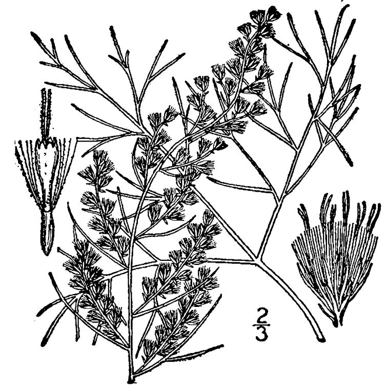 Figure 171a.