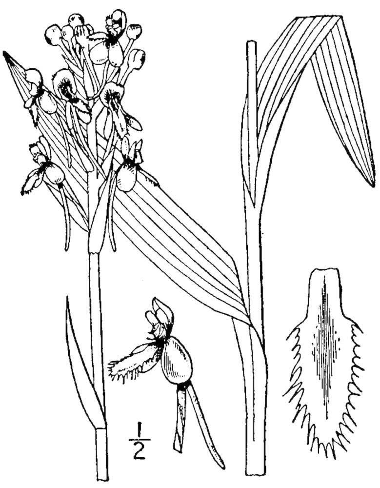 Figure 64a.