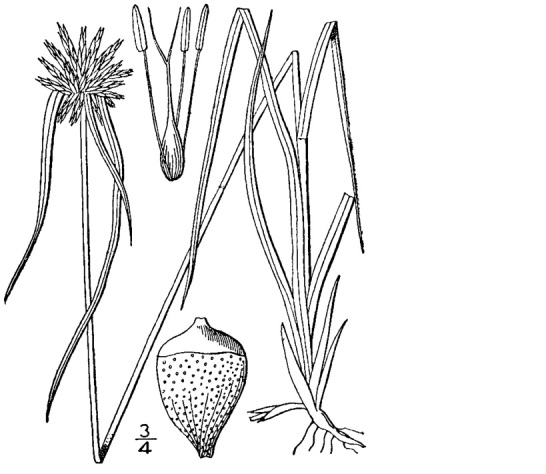 Figure 42a.