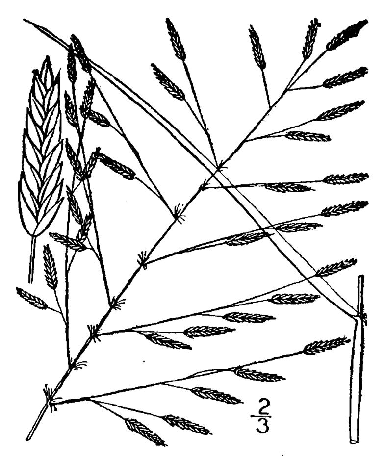 Figure 87b.
