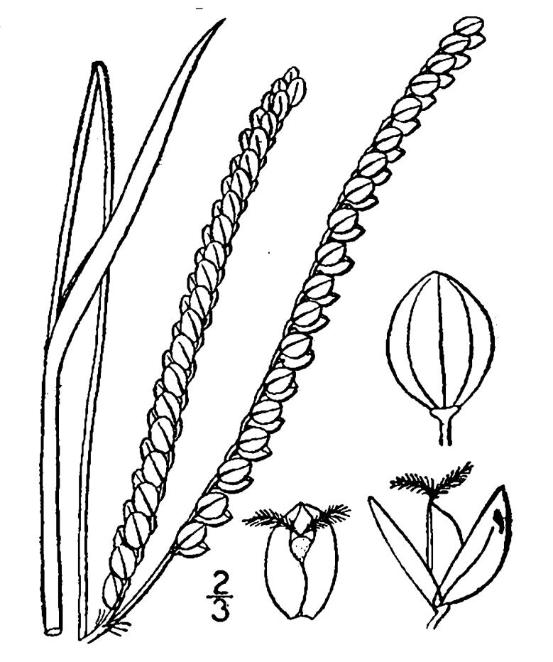 Figure 90a.