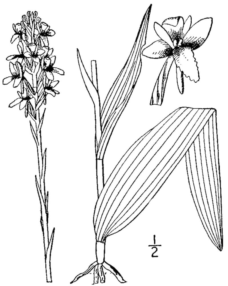 Figure 64e.