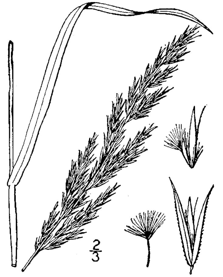 Figure 76.
