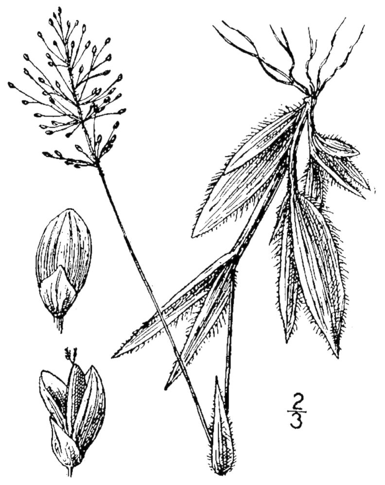 Figure 86c.
