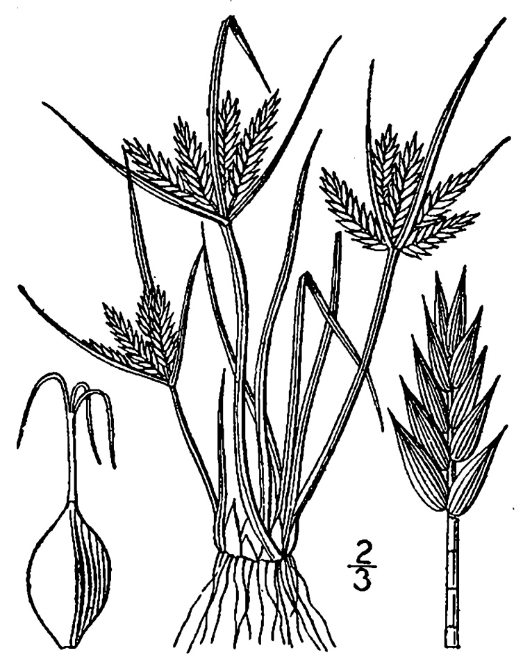 Figure 38a.
