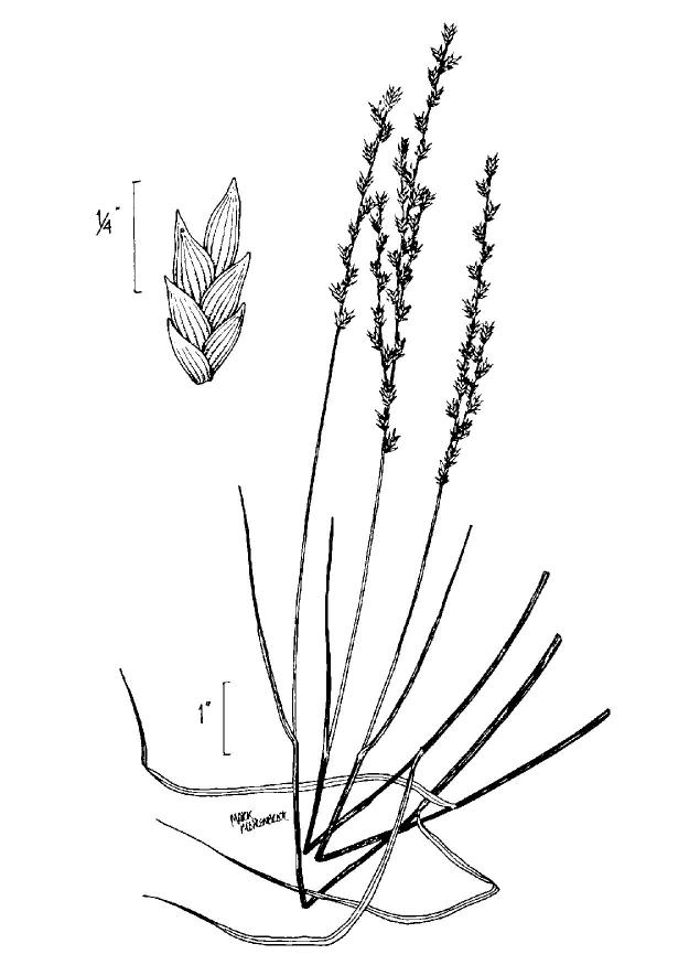 Figure 74.