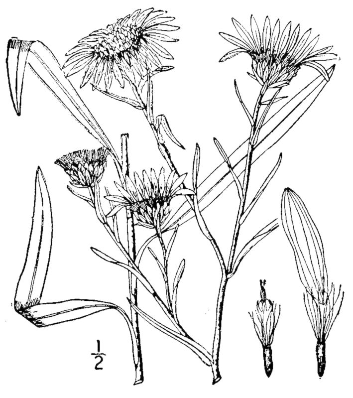 Figure 172b.