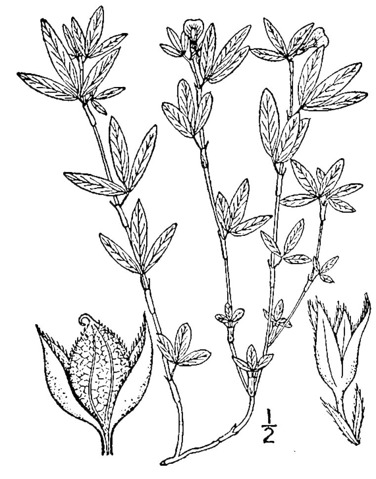 Figure 204.