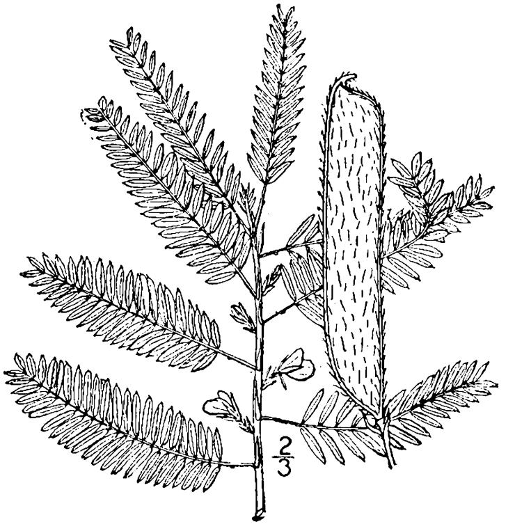 Figure 208b.