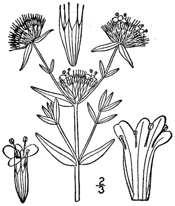 Figure 225a.