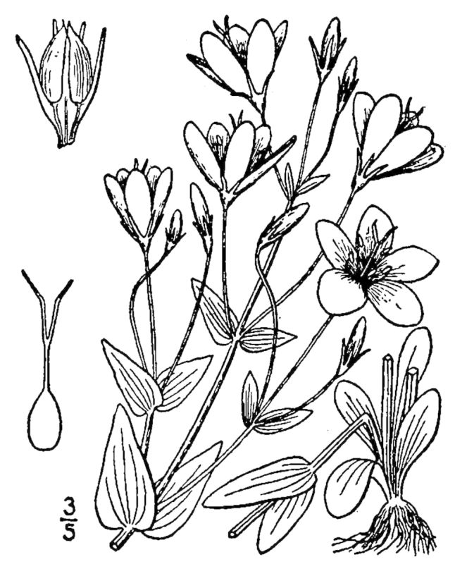 Figure 216a.