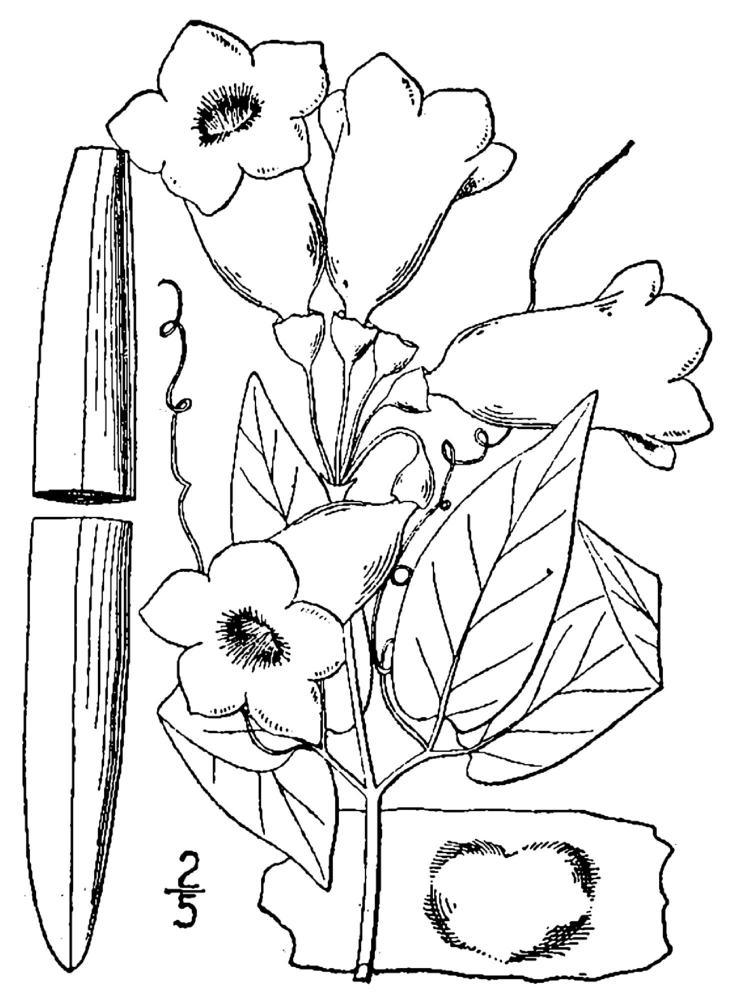 Figure 182.