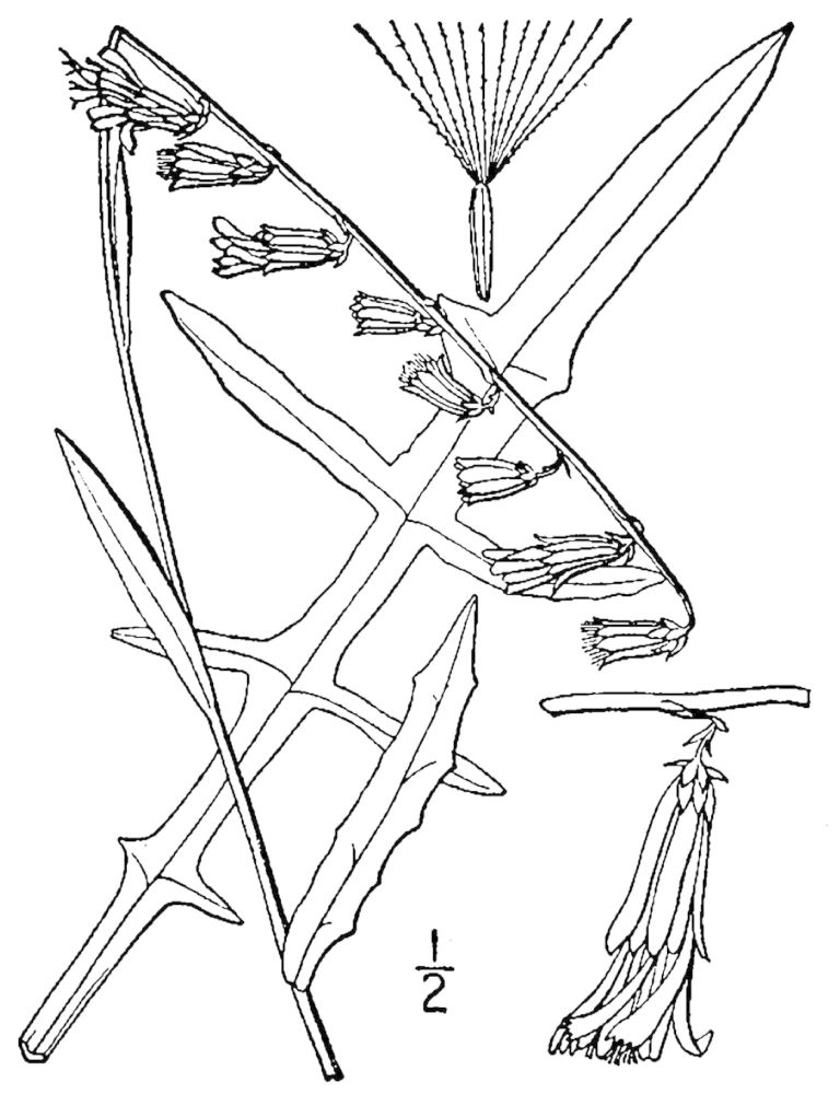 Figure 149a.