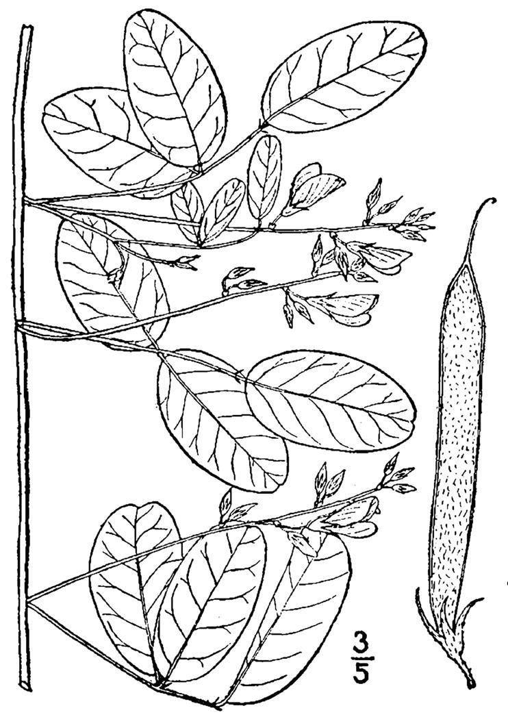 Figure 202a.