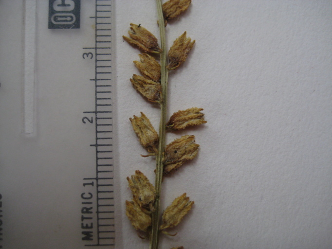 Figure 60b.