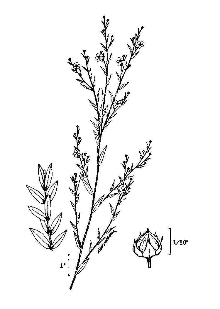 Figure 228c.