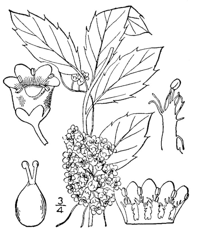 Figure 186a.