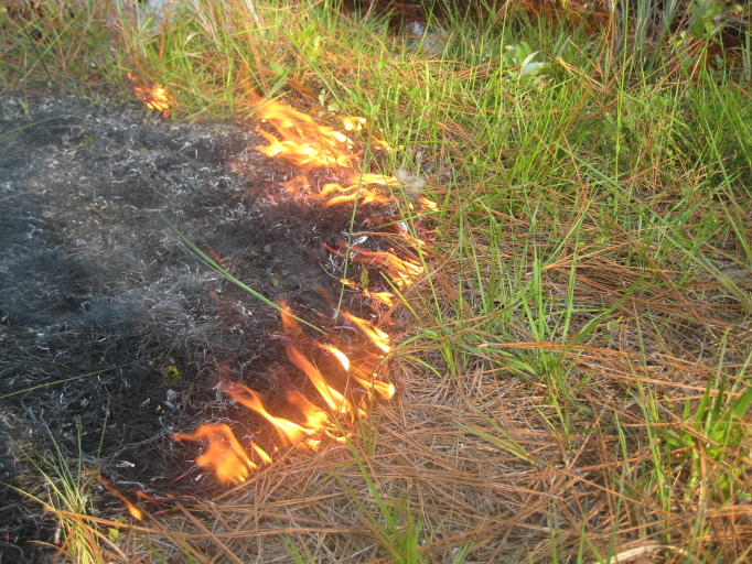 Figure 6a.