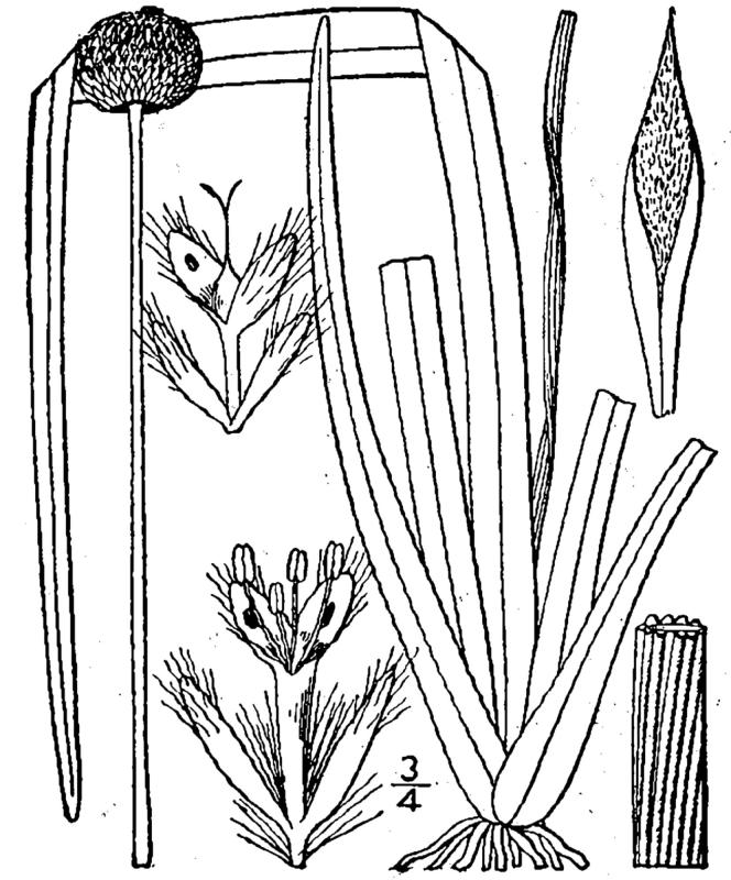 Figure 48b.