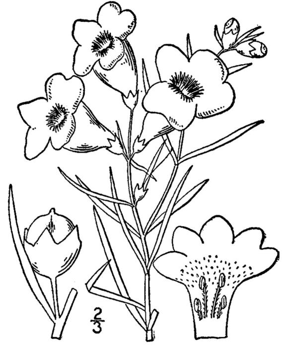 Figure 234d.