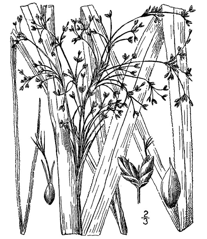 Figure 37a.