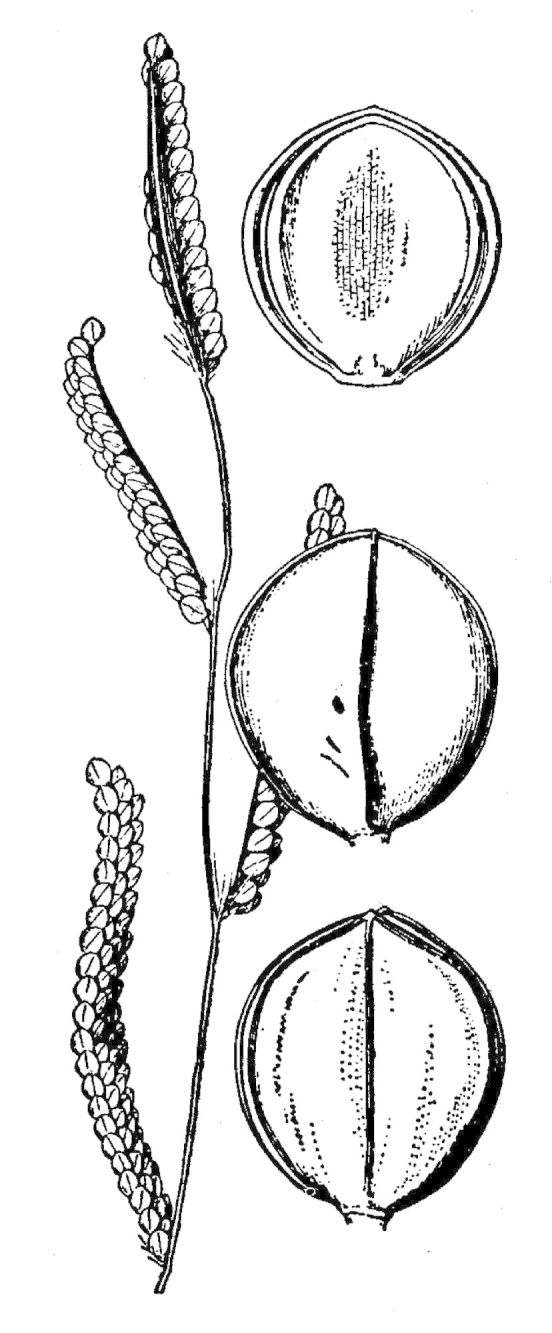 Figure 90b.