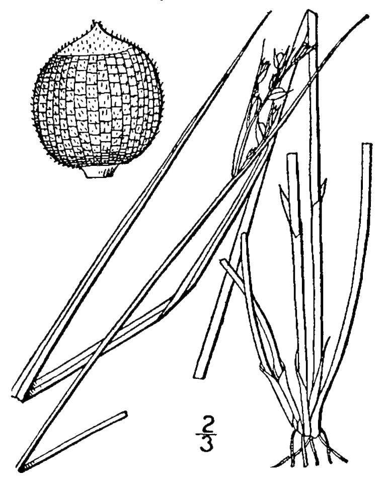 Figure 46b.