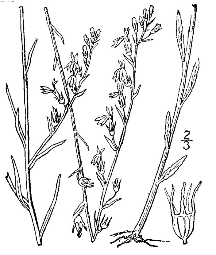 Figure 184a.