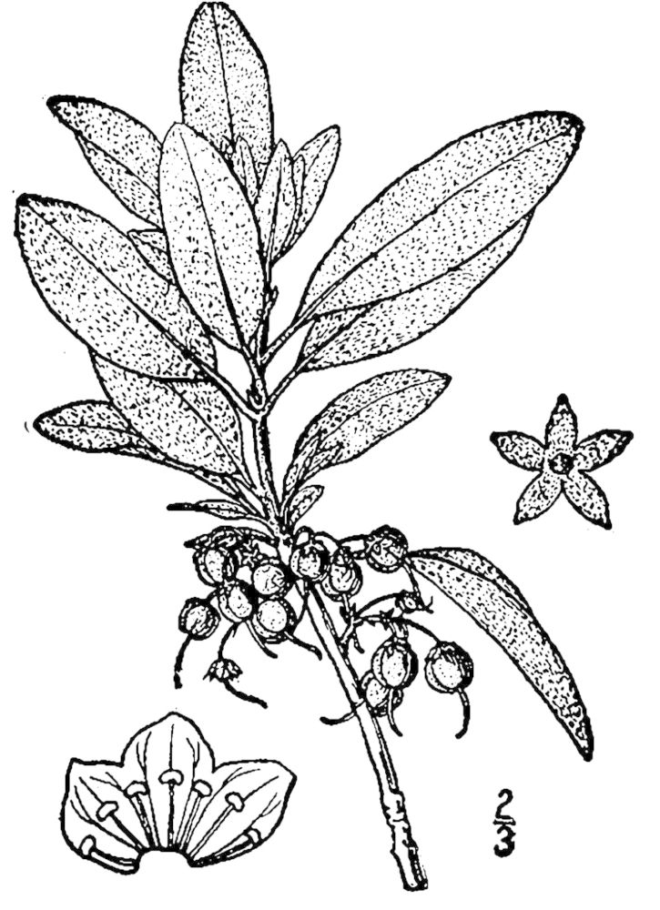 Figure 104.