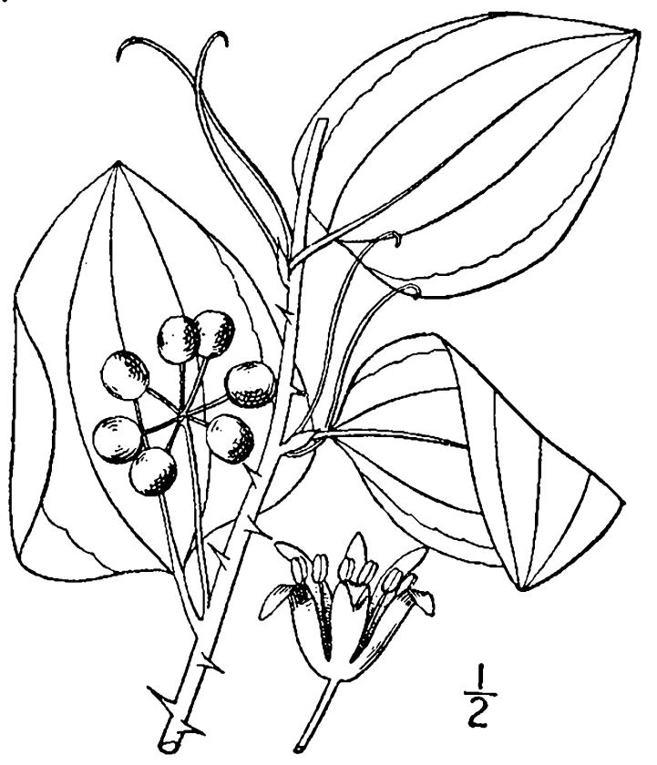 Figure 92b.