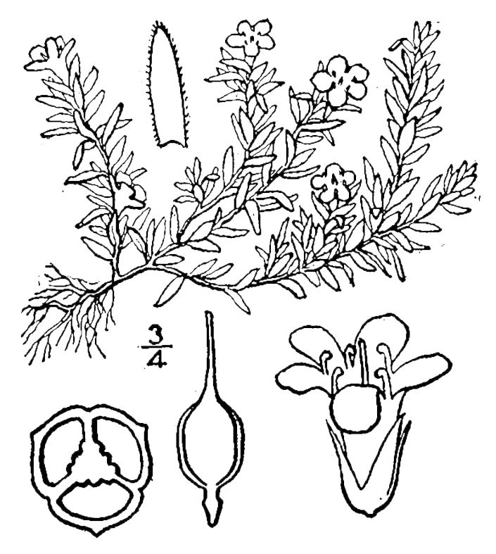 Figure 117a.
