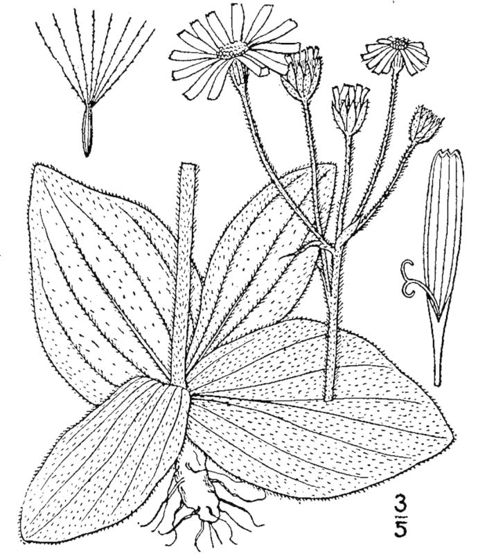 Figure 160.