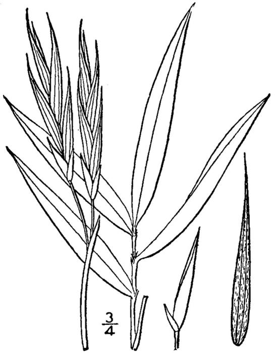 Figure 82b.
