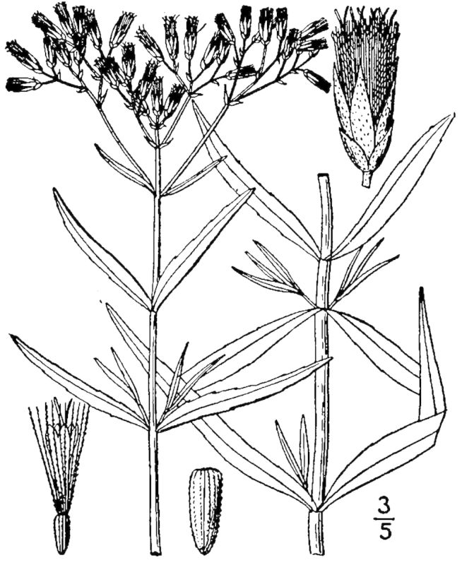 Figure 171c.