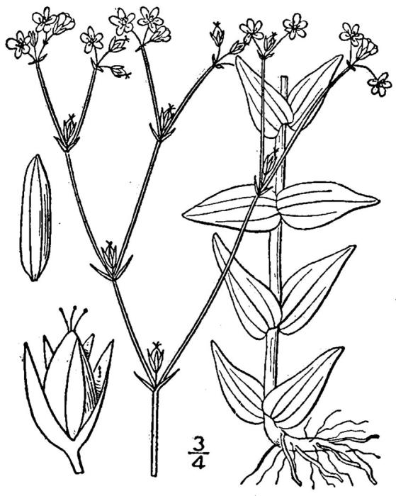 Figure 220c.