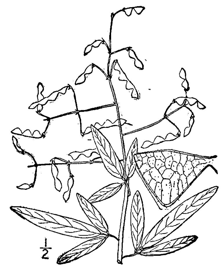 Figure 209b.