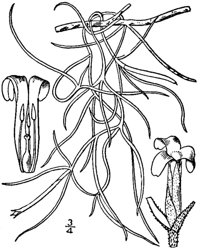 Figure 24.
