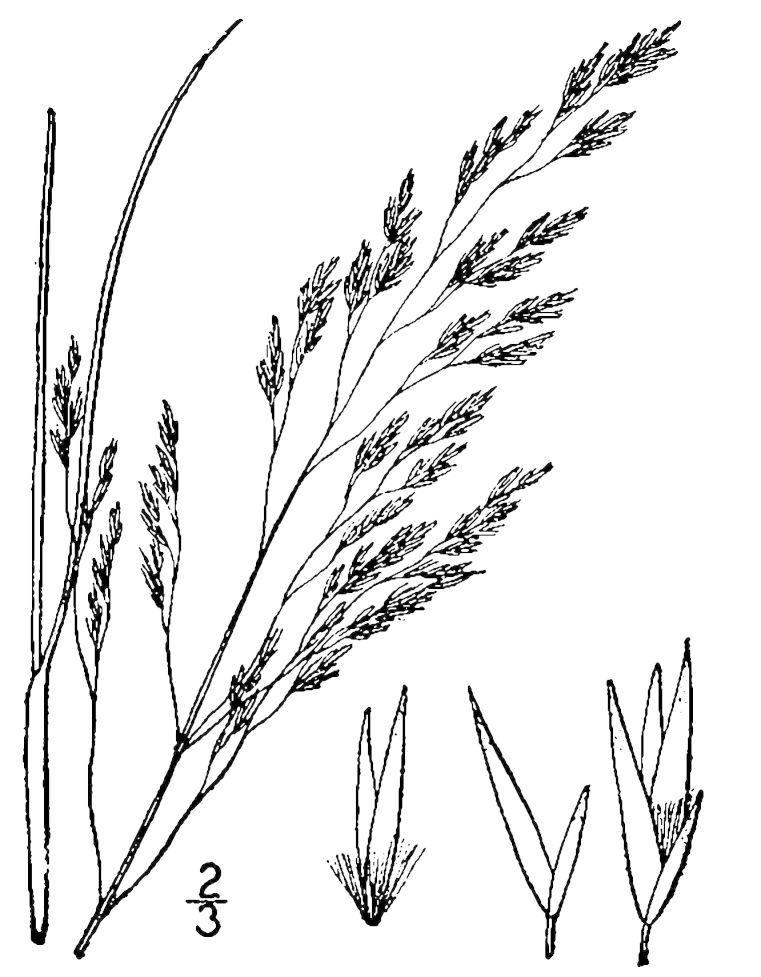 Figure 77.