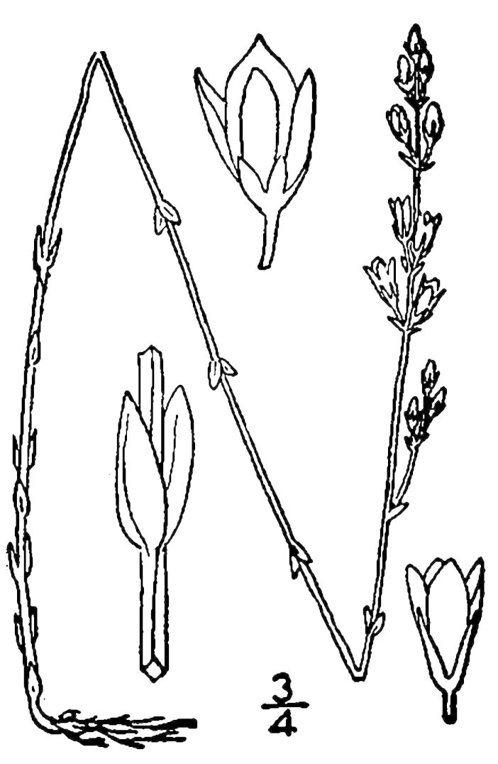 Figure 214c.