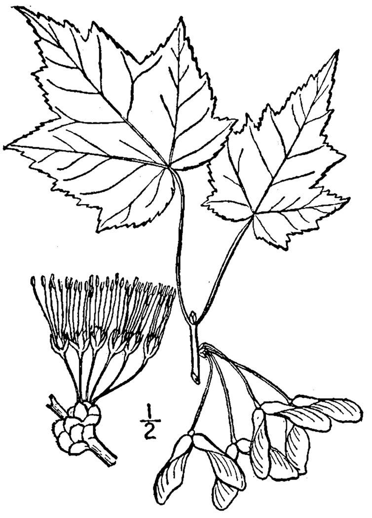 Figure 106a.