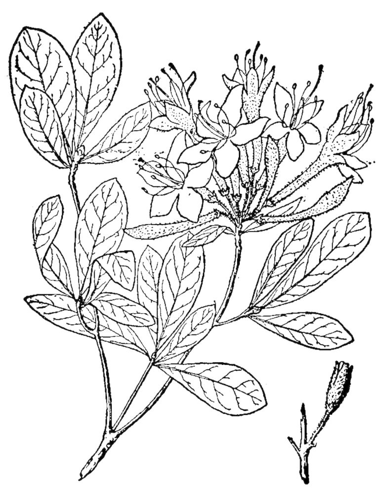 Figure 194a.